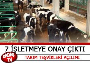 TEŞVİK ONAYI